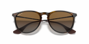Ray-Ban Erika 0RB4171/710/T554-Light Havana/Brown Polarized