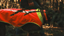 Ruffwear Lumenglow™ High-Vis Dog Vest-Blaze Orange