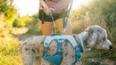 Ruffwear Swamp Cooler™ Harness-Assorted Colours