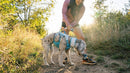 Ruffwear Swamp Cooler™ Harness-Assorted Colours