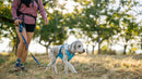 Ruffwear Swamp Cooler™ Harness-Assorted Colours