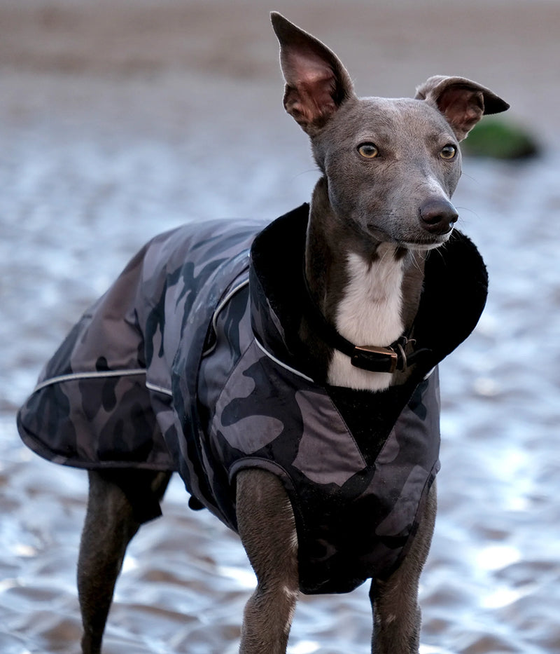 Dryrobe Dog Waterproof Coat-Black Camo/Black