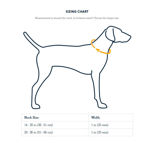 Ruffwear Confluence Waterproof Dog Collar-Assorted Colours