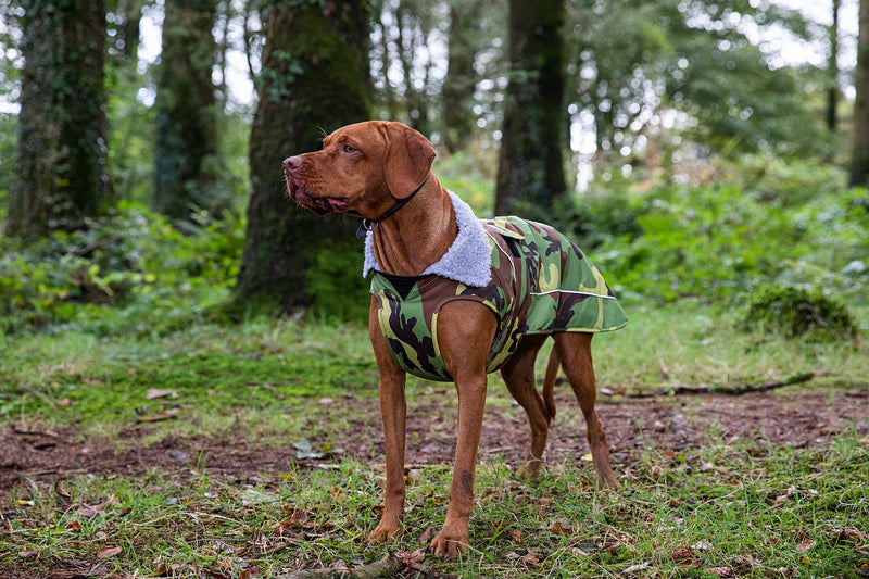 Dryrobe Dog Waterproof Coat-Camo/Grey