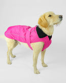 Dryrobe Dog Waterproof Coat-Pink/Black