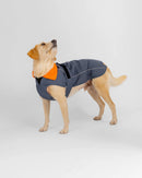 Dryrobe Dog Waterproof Coat-Dark Grey/Orange