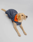 Dryrobe Dog Waterproof Coat-Dark Grey/Orange