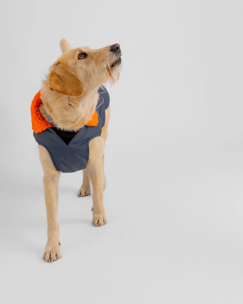 Dryrobe Dog Waterproof Coat-Dark Grey/Orange