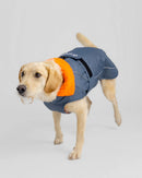 Dryrobe Dog Waterproof Coat-Dark Grey/Orange