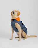 Dryrobe Dog Waterproof Coat-Dark Grey/Orange