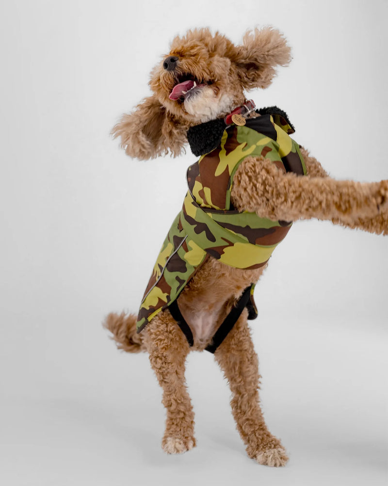 Dryrobe Dog Waterproof Coat-Green Camouflage/Black