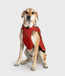 Dryrobe Dog Waterproof Coat-Burnt Orange