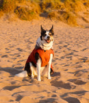Dryrobe Dog Waterproof Coat-Burnt Orange
