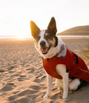 Dryrobe Dog Waterproof Coat-Burnt Orange