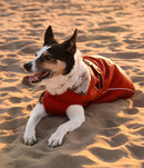 Dryrobe Dog Waterproof Coat-Burnt Orange