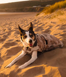 Dryrobe Dog Waterproof Coat-Sand Camo