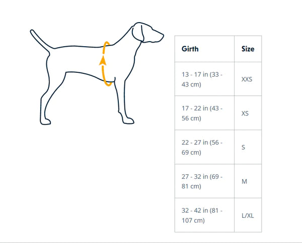 Ruffwear Flagline Dog Harness-Assorted Colours
