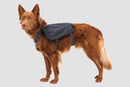 Ruffwear Front Range Day Pack-Assorted Colours