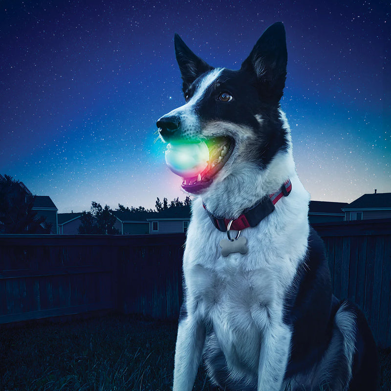 NiteIze GlowStreak LED Ball