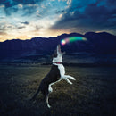 NiteIze GlowStreak LED Ball