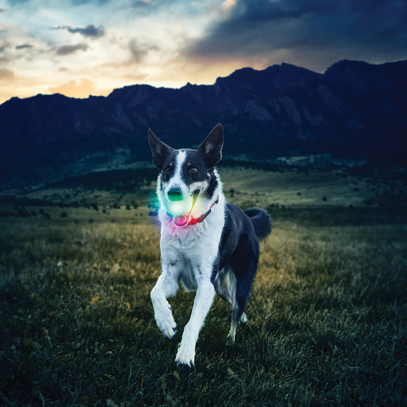 NiteIze GlowStreak LED Ball