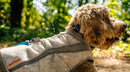 Ruffwear Swamp Cooler Cooling Dog Vest-Assorted Colours