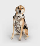 Dryrobe Dog Waterproof Coat-Sand Camo