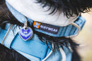 Ruffwear Front Range Flex Collar-Deep Teal