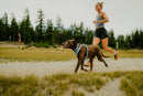Ruffwear Front Range Flex Harness-Deep Teal