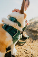 Ruffwear Front Range Flex Collar-Deep Teal