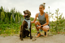 Ruffwear Front Range Flex Harness-Deep Teal