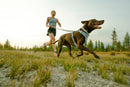 Ruffwear Front Range Flex Collar-Deep Teal
