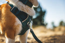 Ruffwear Front Range Flex Harness-Deep Teal