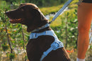 Ruffwear Front Range Flex Harness-Deep Teal