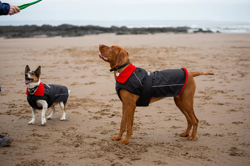 Dryrobe Dog Waterproof Coat-Black/Red