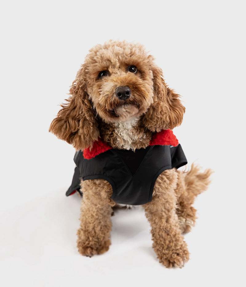 Dryrobe Dog Waterproof Coat Black Red
