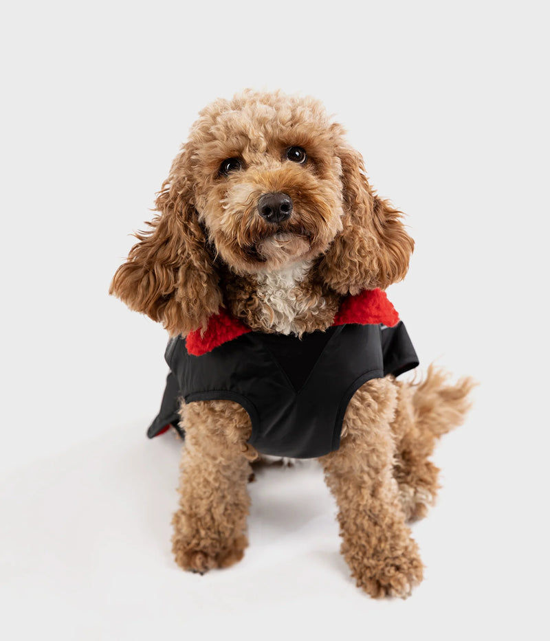 Dryrobe Dog Waterproof Coat-Black/Red