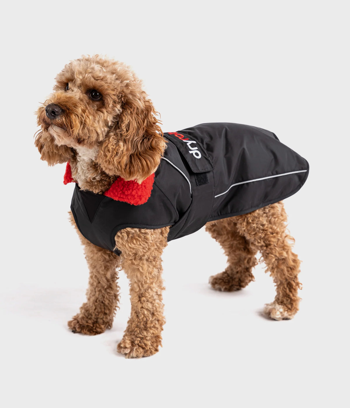 Rab dog coat hot sale