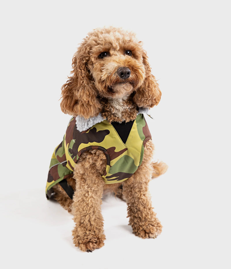 Dryrobe Dog Waterproof Coat-Camo/Grey