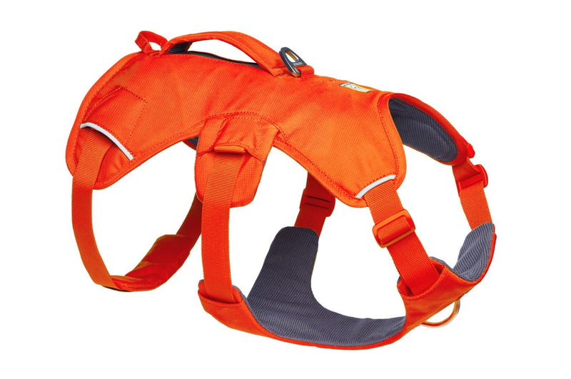 Ruffwear Web Master Dog Harness with Handle-Assorted Colours