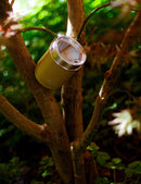 SIGG Travel Mug 0.3L-Assorted Colours