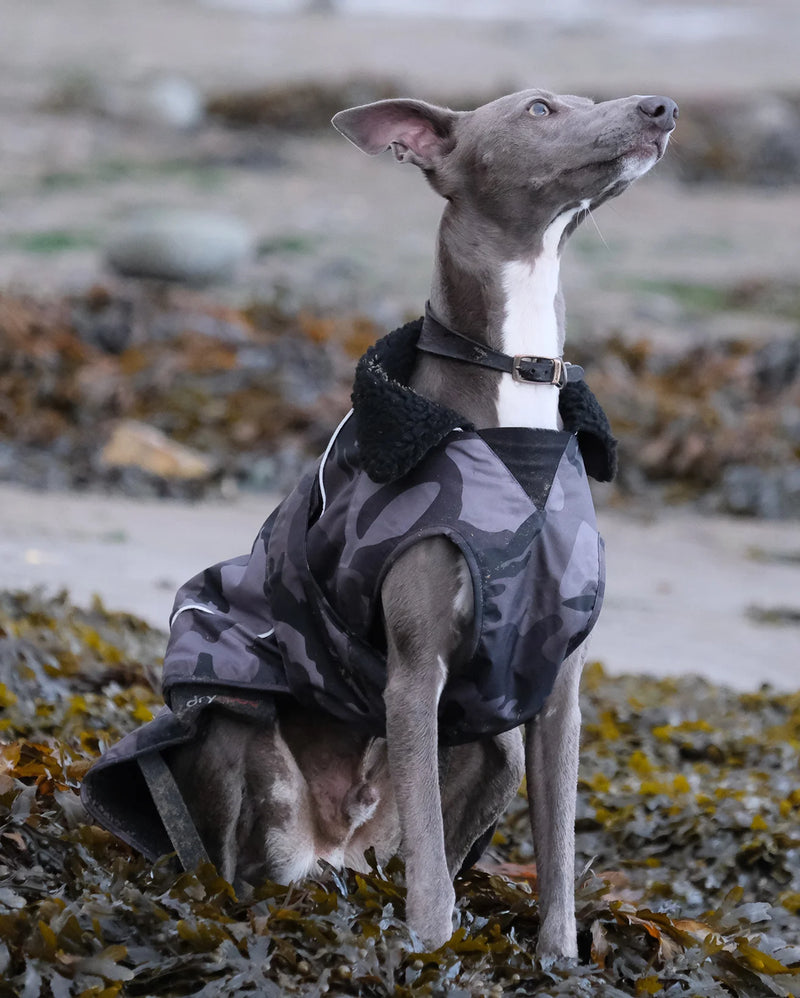 Dryrobe Dog Waterproof Coat-Black Camo/Black