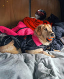 Dryrobe Dog Waterproof Coat-Black Camo/Pink