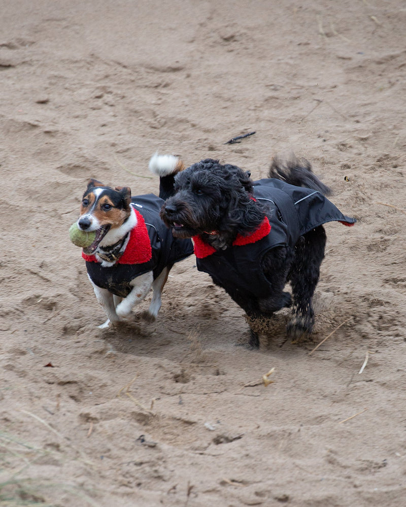 Dryrobe Dog Waterproof Coat-Black/Red