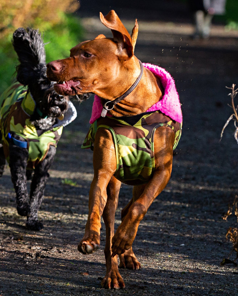 Dryrobe Dog Waterproof Coat-Camo/Pink