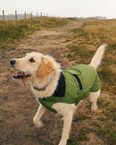 Dryrobe Dog Waterproof Coat-Green/Black