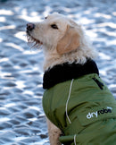 Dryrobe Dog Waterproof Coat-Green/Black