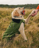 Dryrobe Dog Waterproof Coat-Green/Black