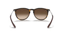 Ray-Ban Erika 0RB4171/865/1354-Rubber Havana/Brown