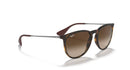 Ray-Ban Erika 0RB4171/865/1354-Rubber Havana/Brown